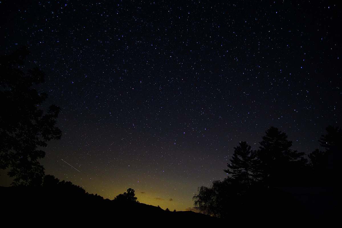 starry sky silhouette of trees under starry sky space